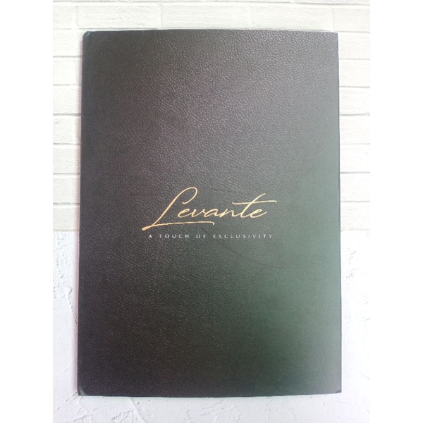 Microfiber Leather Vision Levante