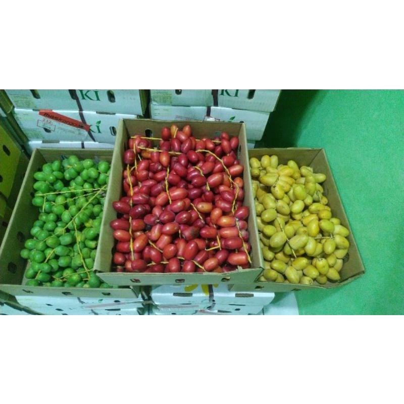 kurma muda 3 warna merah,kuning dan hijau 500grm + buah zuriat  1pcs | Po .