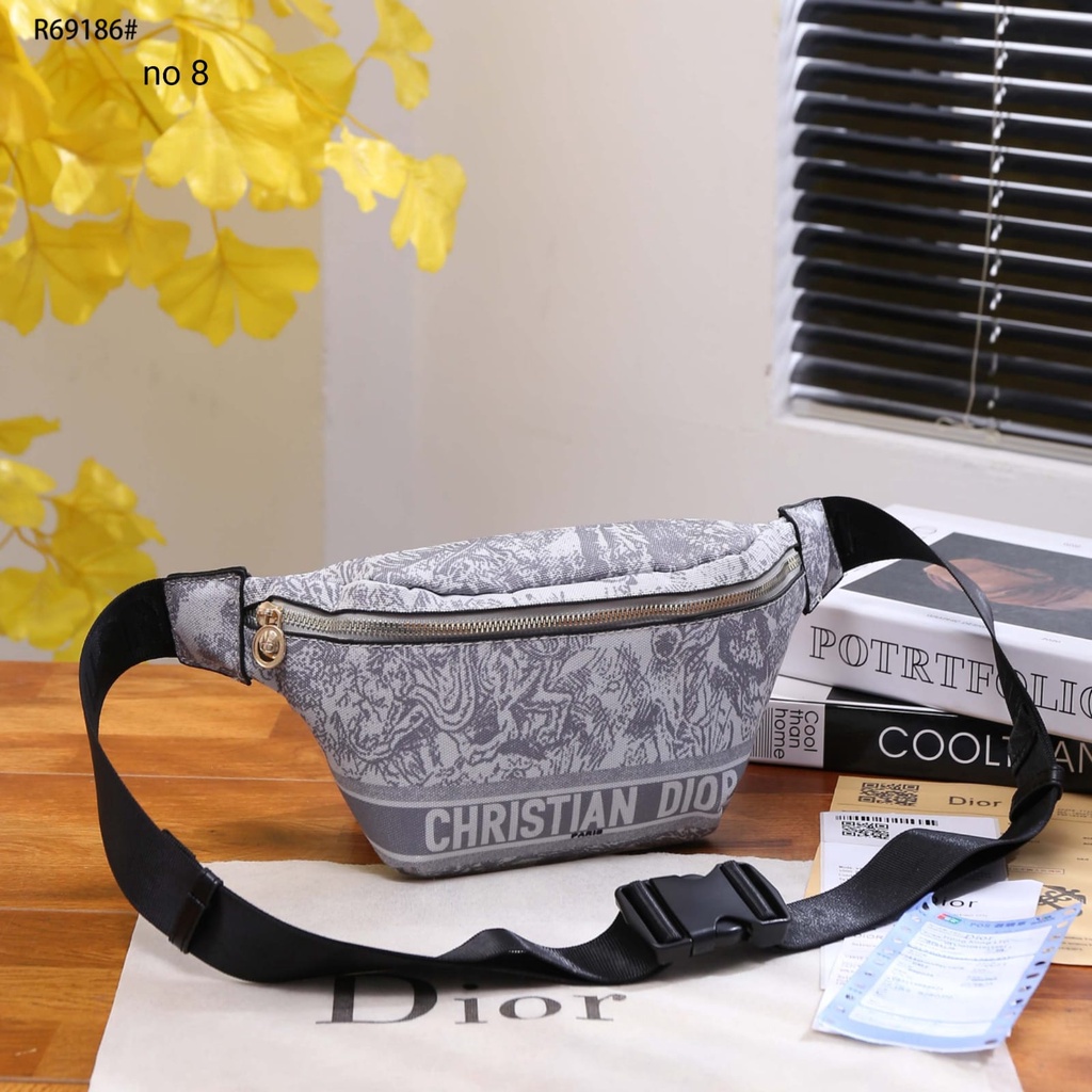 CD Canvas GHW Waist Bag R69186#