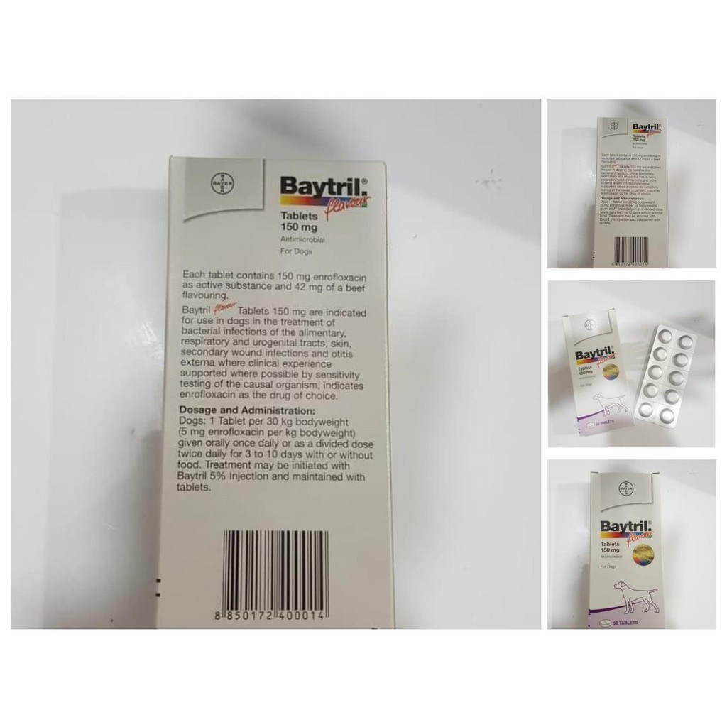 baytril flavour tablet 150 mg   antibiotik anjing kucing