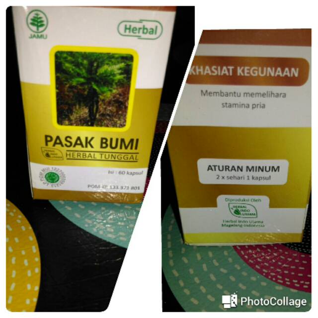 Kapsul Pasak Bumi