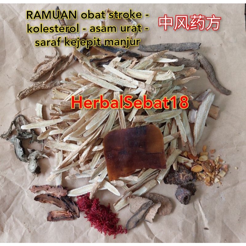 

Herbal Obat Stroke - Kolesterol - Asam Urat - Saraf Kejepit Manjur