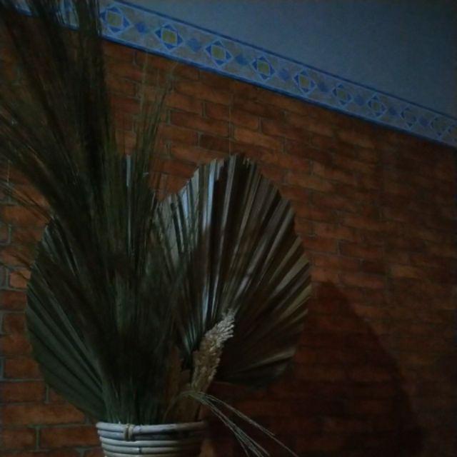 Daun Palem Kering Hiasan Rustic Lebar  35-40cm X Tinggi  70-90 Cm