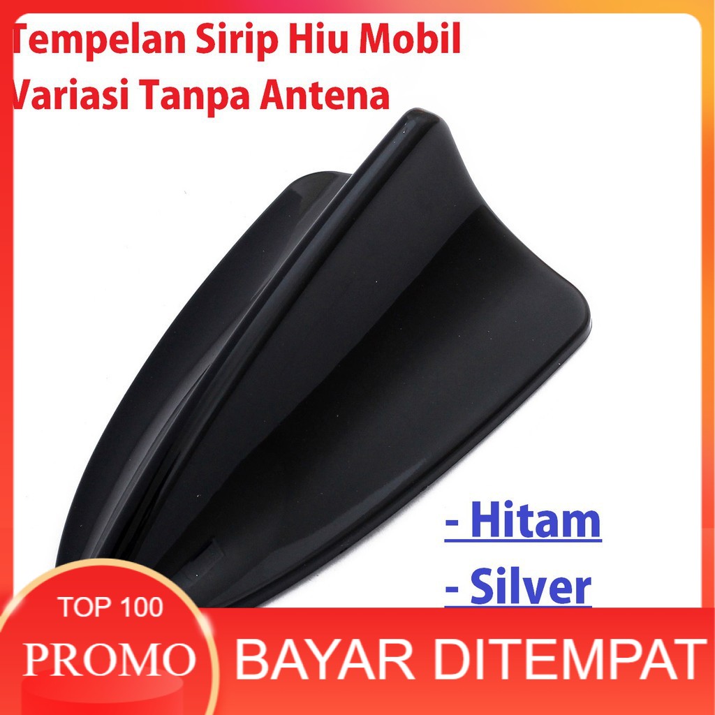 Variasi Sirip Hiu Mobil