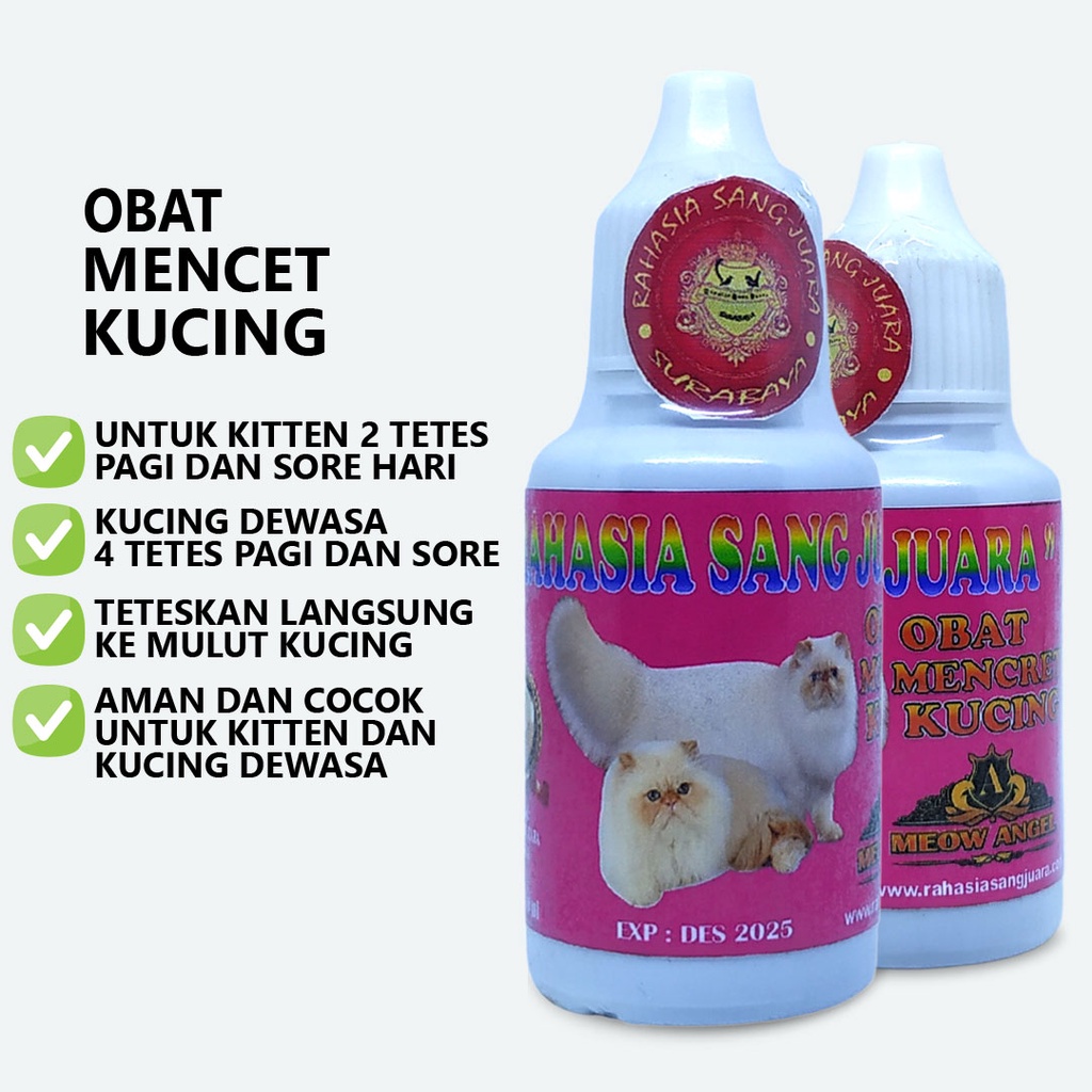 OBAT MENCRET DIARE UNTUK KUCING KITTEN DAN DEWASA