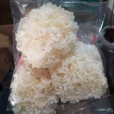 

Jamur Salju Putih Kemasan 500gram/ Dried Snow White Fungus