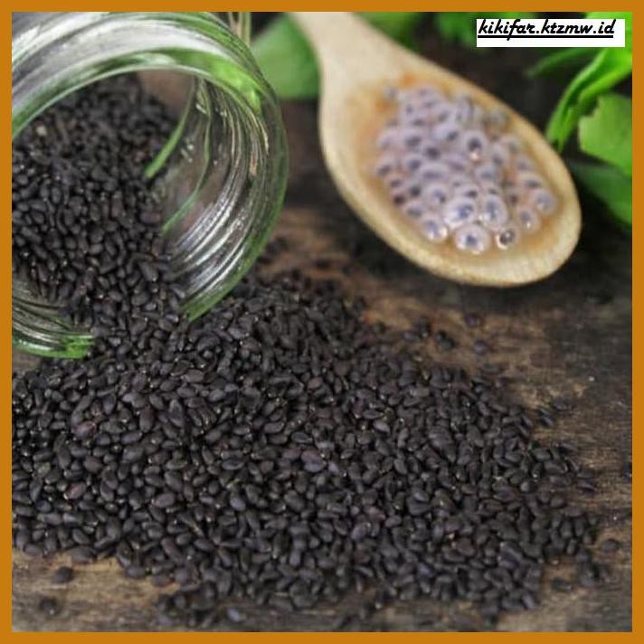 

Makanan-Kering- Basil Seed Import 1Kg / Biji Selasih Import 1Kg -Aneka.