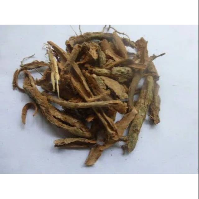 

Kayu Rapet Kering Murni Herbal Alami Obat Keputihan