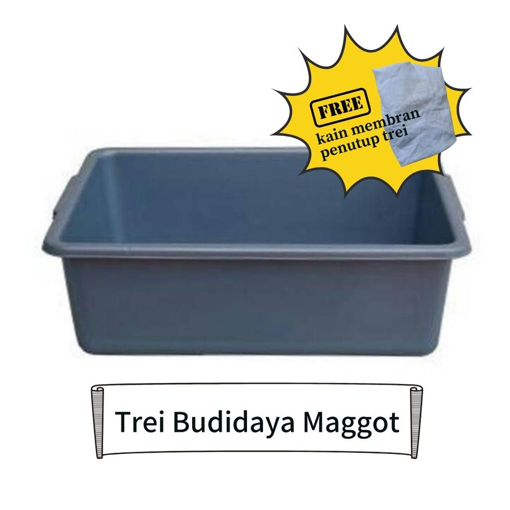 Trei Wadah Budidaya Maggot