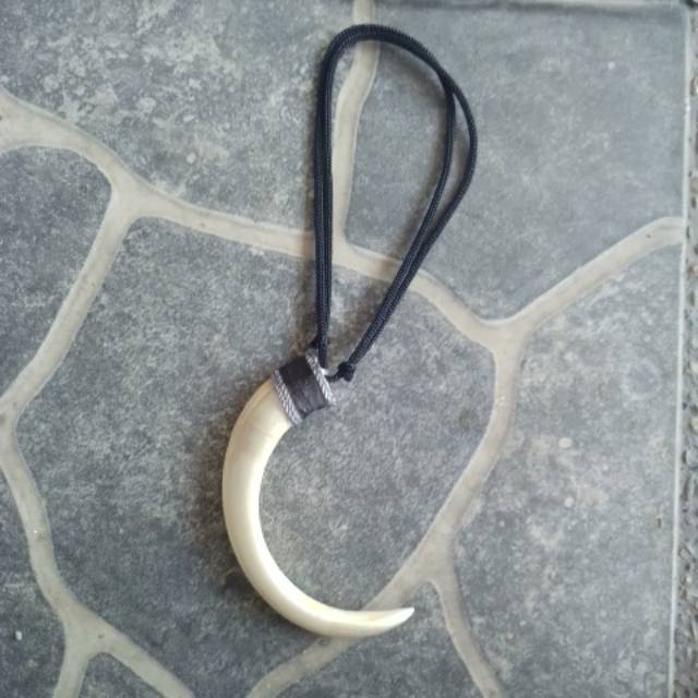 Kalung taring babi hutan