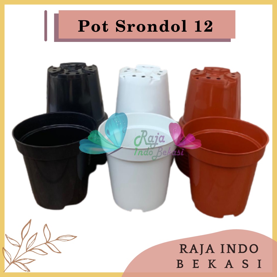 LUSINAN 12PCS Pot Tinggi Srondol 12 Putih Hitam Merah BataTerracota Terracotta Merah Coklat - Pot Tinggi Usa Eiffel Effiel 18 20 25 Lusinan Pot Tinggi Tirus 15 18 20 30 35 40 50 Cm Pot Bunga Plastik Lusinan Pot Tanaman Pot Bibit Besar Mini Kecil