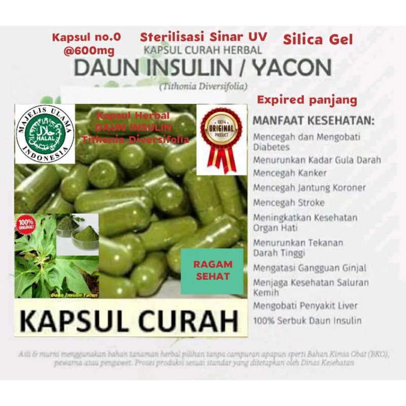 Jual Kapsul Bubuk Daun Insulin Yacon Herbal Jamu Obat Curah Butir