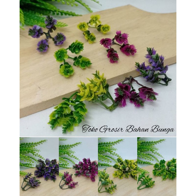 Tanaman Hias Rumput Variasi Bonsai Rumput Daun DIY Bonsai Mini Variasi Rumput hiasan Aquarium