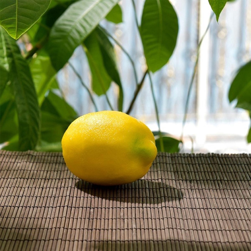 Agustina Artificial Lemon Fotografi Pesta Pernikahan Dapur Dekorasi Rumah