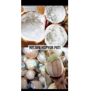 

Kelapa Kopyor Jumbo coconut fruit sweet L-XL-XXL