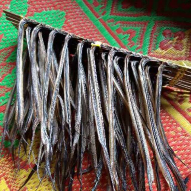 

Belut asal kerinci