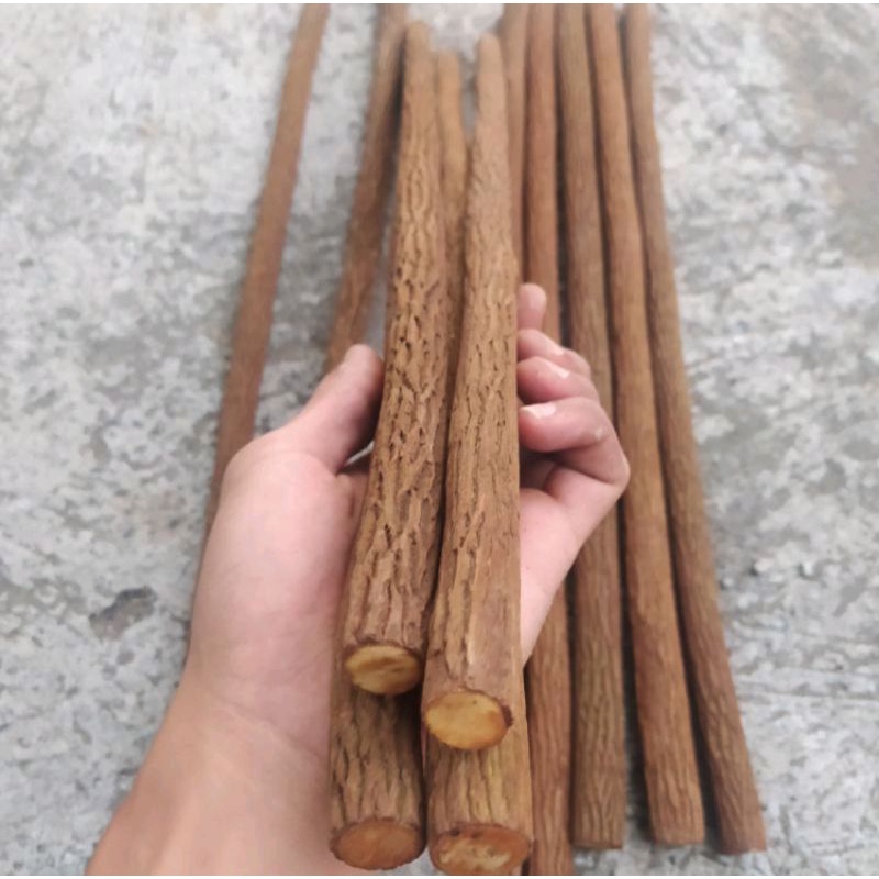 Sepasang tangkringan asam jawa super grade A 65cm ukuran murai kacer kenari cucak ijo pentet plangkr