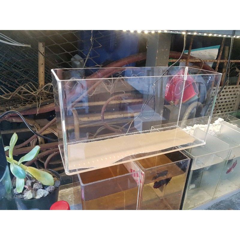 AQUARIUM AKRILIK UK. P60CM X L20 X T25CM 4MM