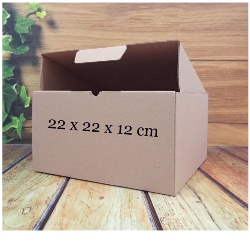 Jual (Min. Order 5 Pcs) Kardus 22 X 22 X 12 Cm Die Cut Box Kotak Karton ...