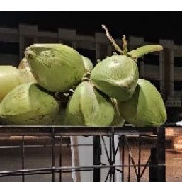 kelapa muda segar