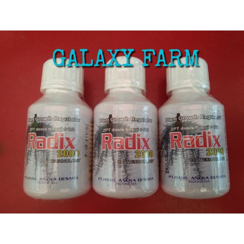 RADIX 2000 ZPT DOSIS TINGGI + O2 100ML