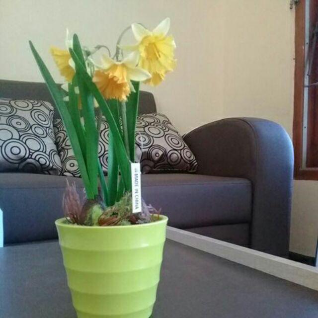 Pajangan Meja Vas Bunga Unik & Cantik - Dekorasi Tanaman Tiruan Hias Artificial - Vb24