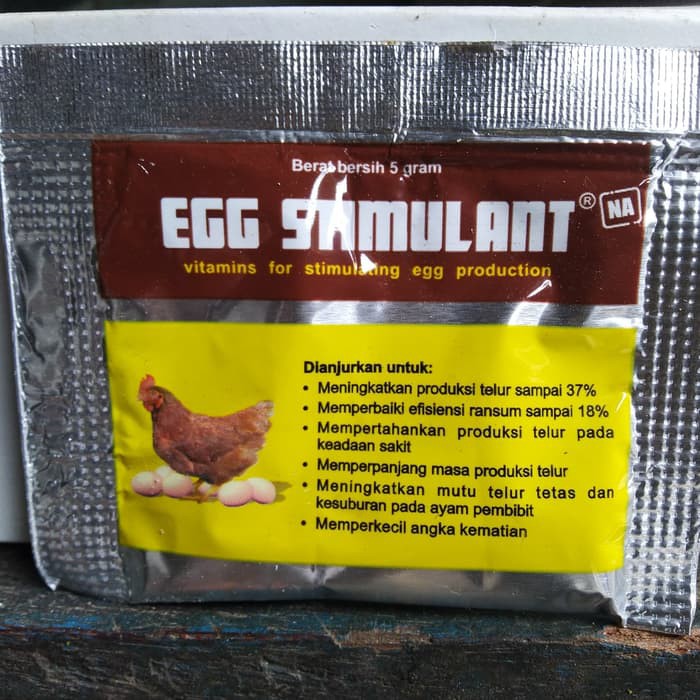 egg stimulant vitamin ayam petelur