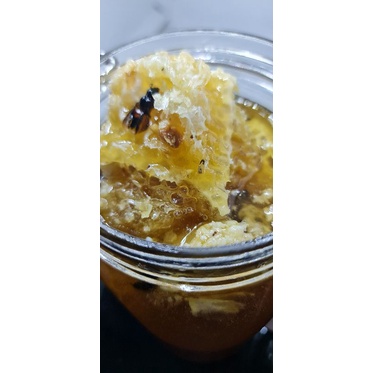 

madu murni plus sarang