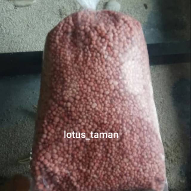 PUPUK PONSKA-pupuk untuk rumput taman dan tanaman hias