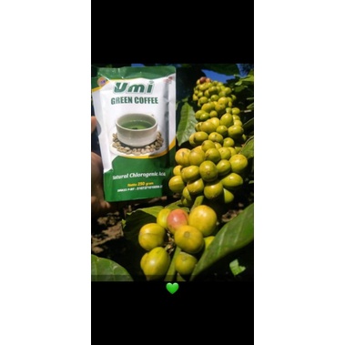 UGC Umi Green Coffee