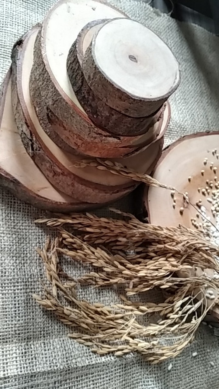 Potongan Kayu | Talenan Kayu | Slice Wood Diameter 20-22 Cm