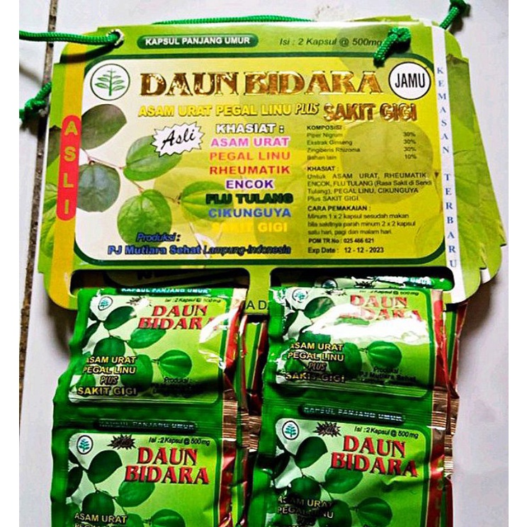 DAUN BIDARA KAPSUL