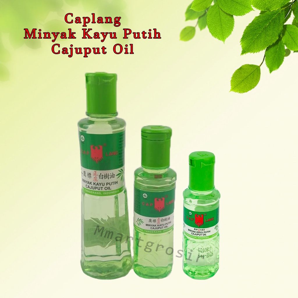 MINYAK KAYU PUTIH / CAPLANG /CAJUPUT OIL