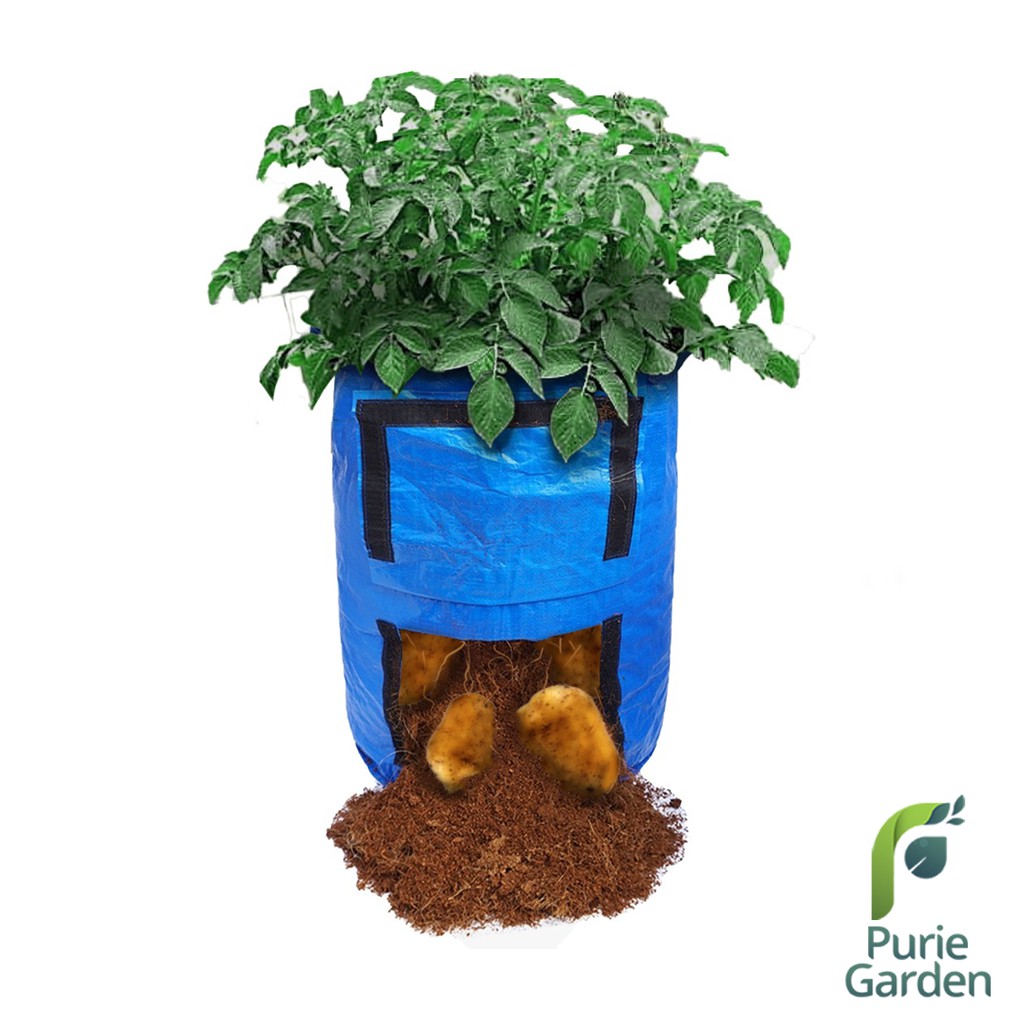 Planter Bag Umbi Kentang / Potato Planter Bag 45 Liter Puriegarden PG SBY