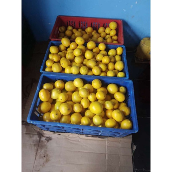 

Lemon California