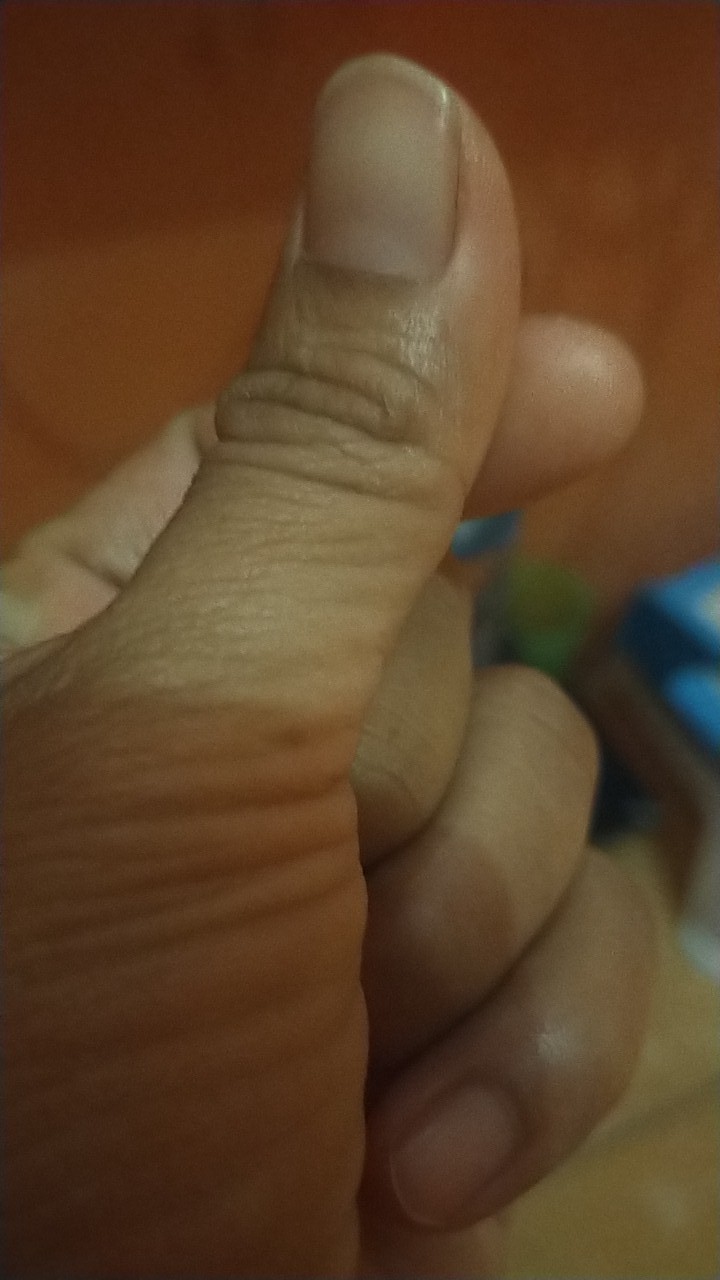 Piring Ikan,piring Oval Golden Sunkist Pi-8006 (kecil) & Pi-8007(besar)