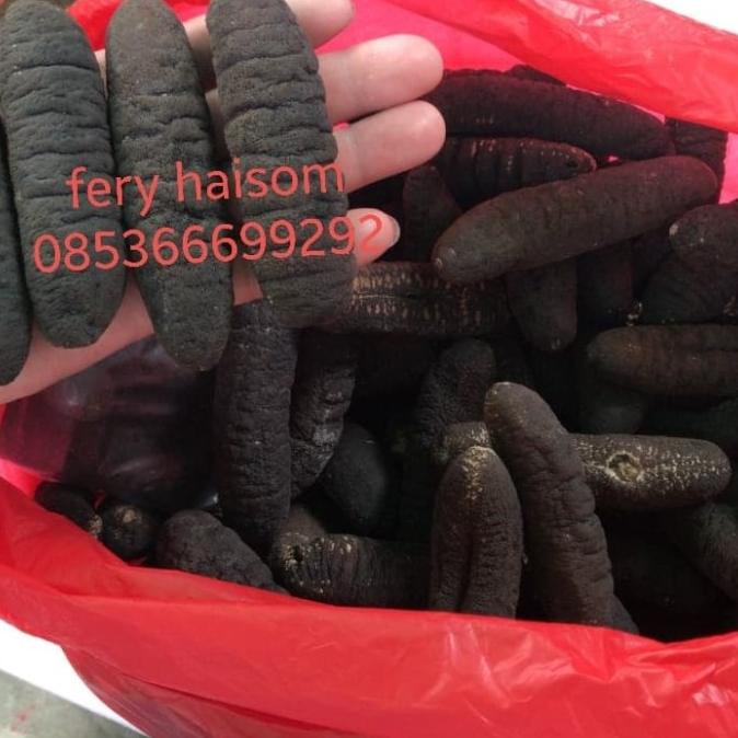 

Tripang/Haisom Gosok (Pasir) Kering