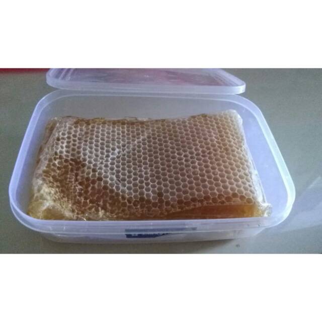 

Madu sarang murni 500gr