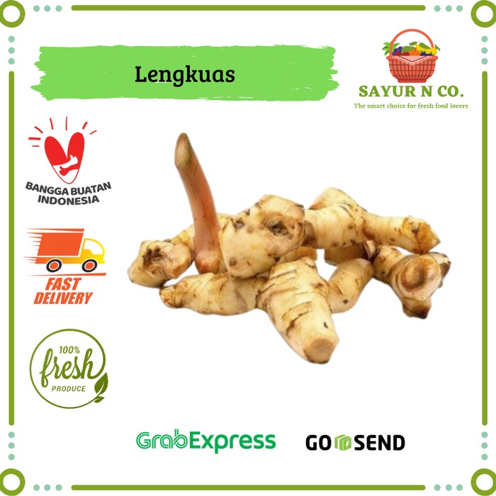 

Lengkuas / Laos / Kelawas | Sayur N Co Bekasi