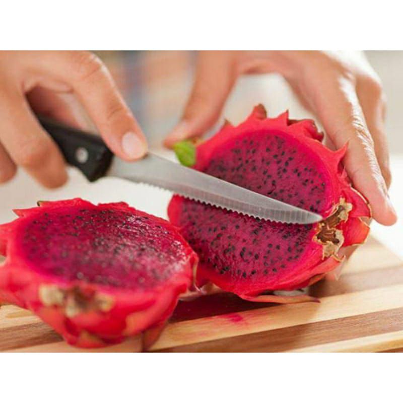 

Buah Naga Merah Segar - Buah Naga Fresh Banget potong mika