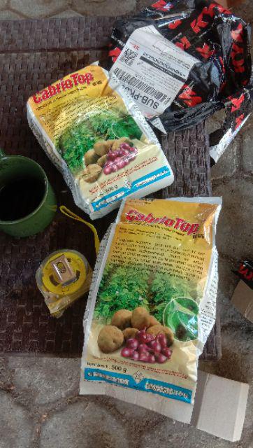 Fungisida Basf Cabrio Top 60wg 500gr