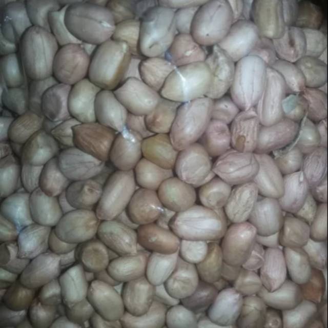 

Kacang Tanah Mentah