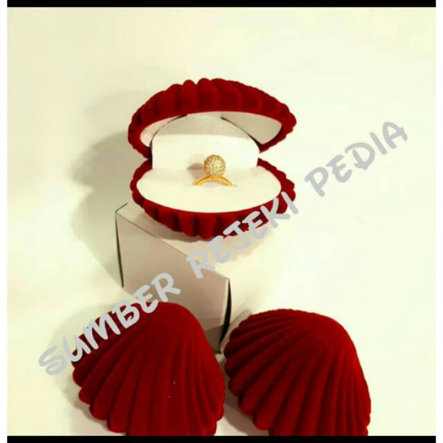 Kotak/box/tempat cincin/kerang besar/tempat perhiasan