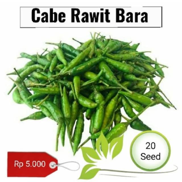 Benih cabe rawit bara -  20 benih