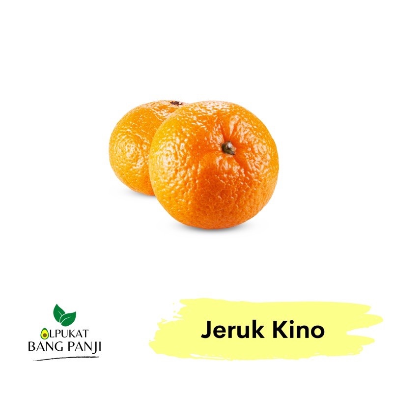 

ALPUKAT BANG PANJI - Jeruk Kino Pakistan