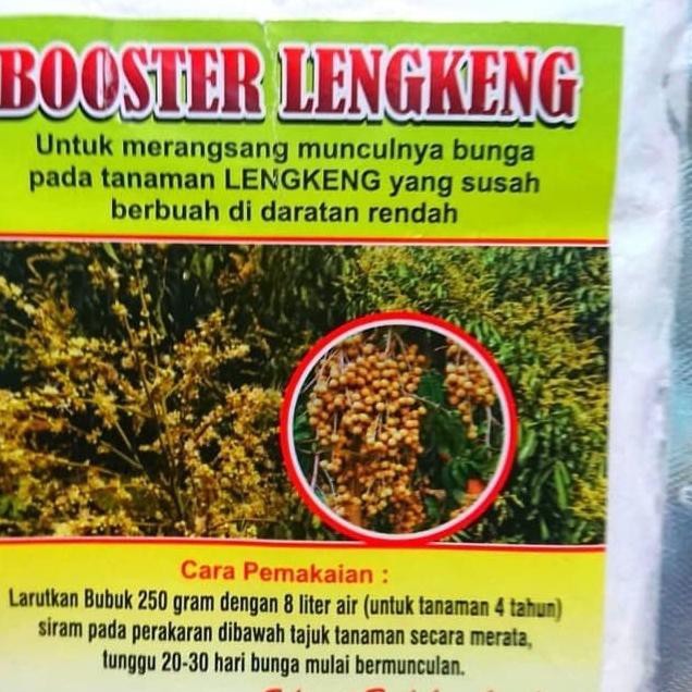 [TERLARIS] BOOSTER KELENGKENG PERANGSANG BUAH