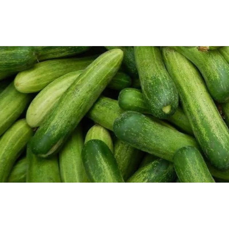 

timun seger 500gr