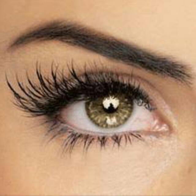 gudang_kecantikanwanita