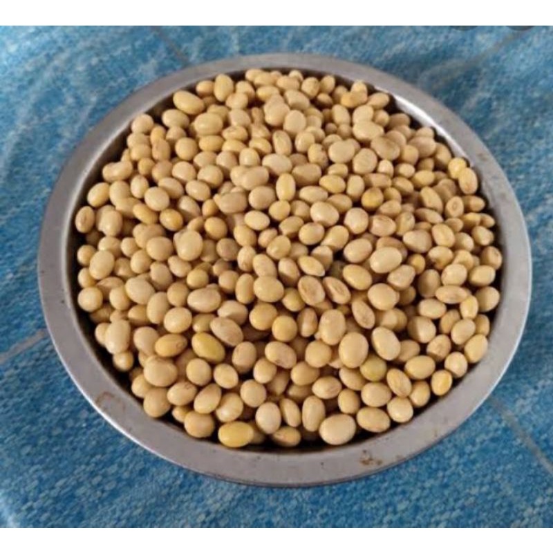 

KEDELAI BUAT TEMPE KEDELAI IMPORT BUAT TAHU KONSUMSI 500 gram