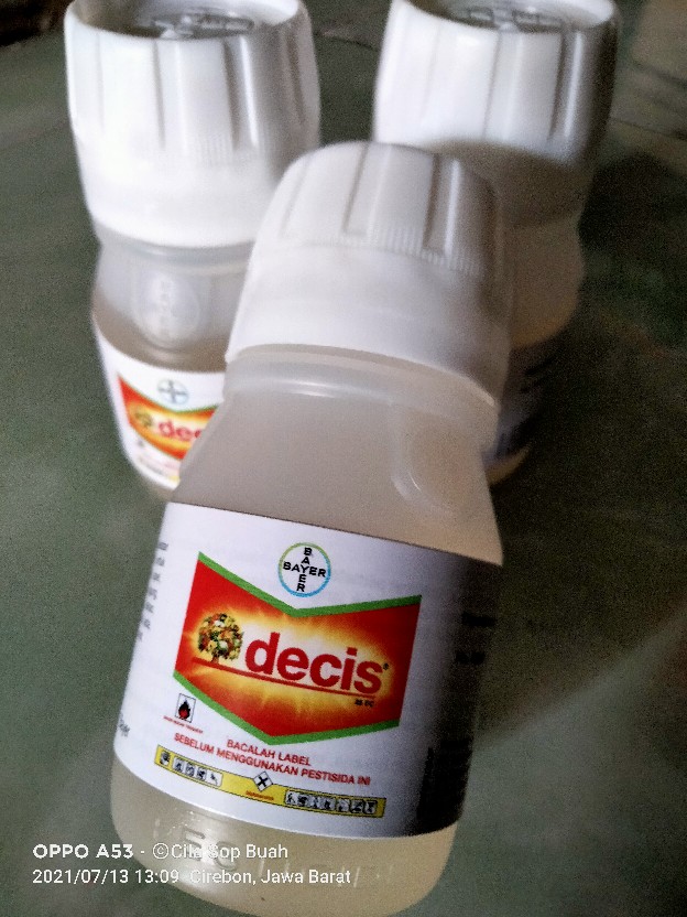 Insektisida Decis 25ec 50ml